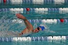 Swimming vs Babson  Wheaton College Swimming vs Babson College. - Photo By: KEITH NORDSTROM : Wheaton, Swimming, Babson